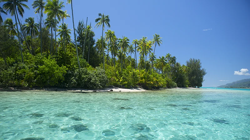 Tahiti & The Islands Of French Polynesia Cruise, Tahiti and  French Polynesia