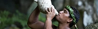 French Polynesia & the Society Islands Cruise